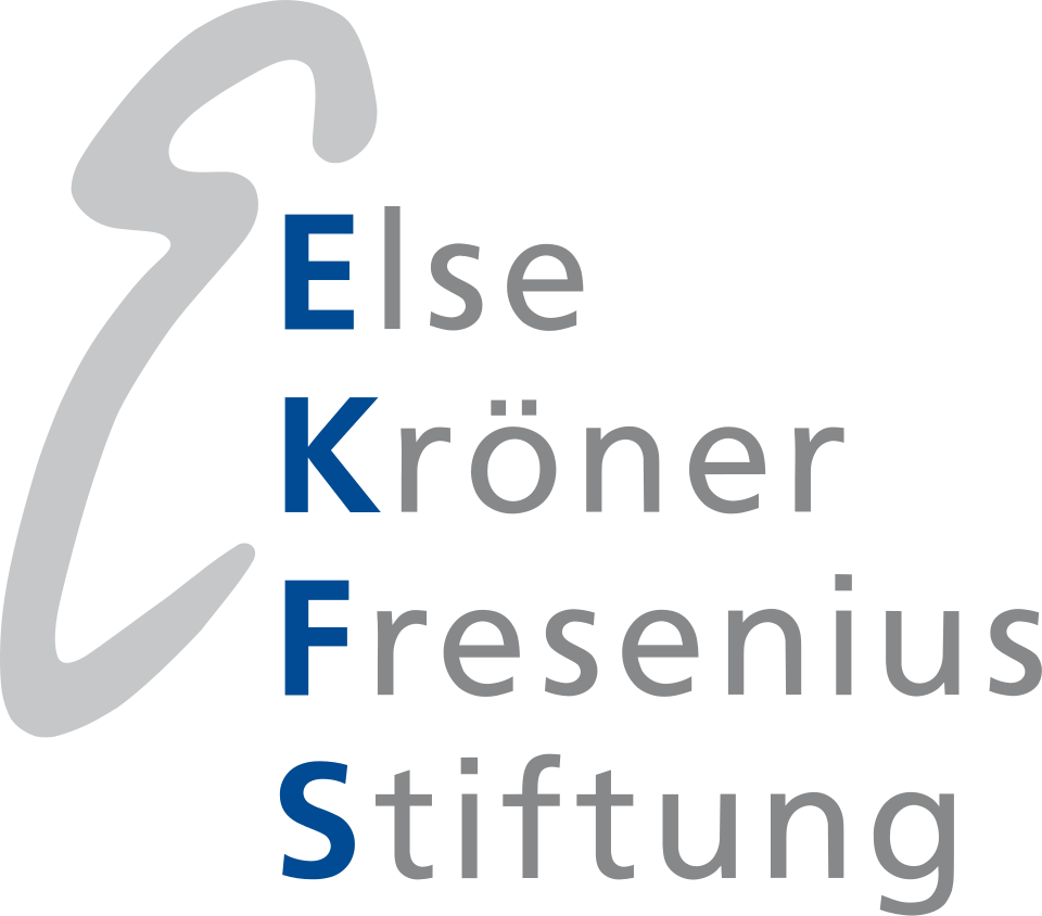 Else Kröner-Fresenius-Stiftung Logo